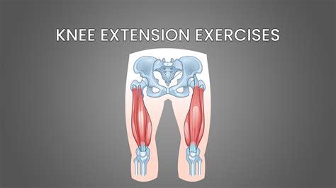 5 Best Knee Extension Exercises (with Pictures!) - Inspire US