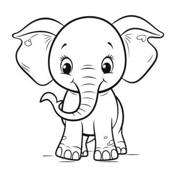 Cute Baby Elephant Coloring Pages On White Background Outline Sketch Drawing Vector, Elephant ...