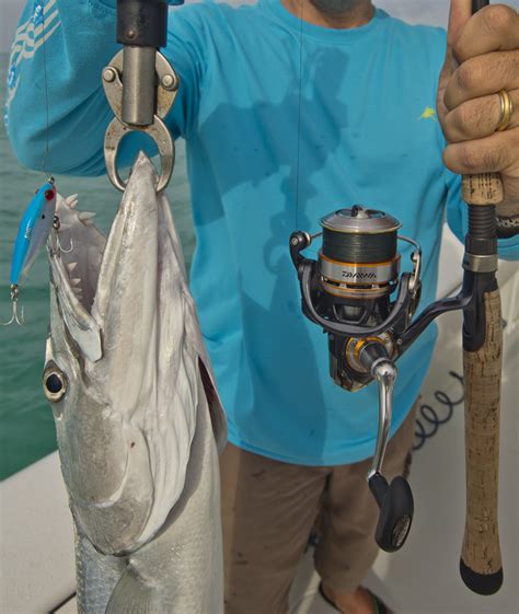 Artificial Plug Fishing Florida Keys – Florida Keys Fishing Report