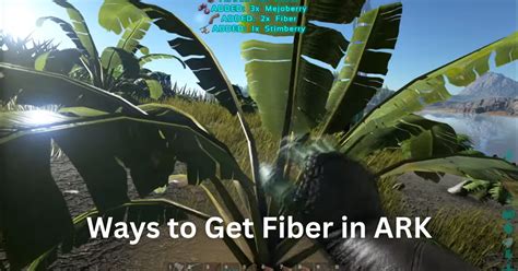 How to Get Fiber in Ark Survival Evolved - Nerd Lodge