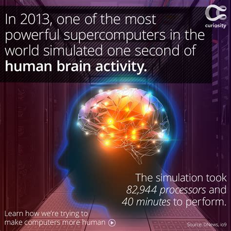 Home | Brain facts, Brain activities, Human brain