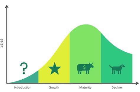 Cash Cow | A Complete Guide on Cash Cow with Example