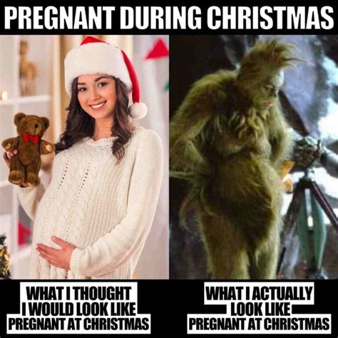 20 Grinch Memes To Make Your Christmas Heart Happy