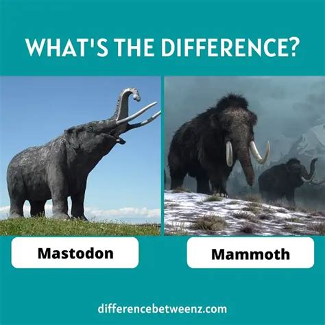 Perbedaan antara Mastodon dan Mammoth