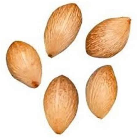 Palm Tree Seeds Areca Palm - Ornamental Palm Seeds at Rs 600/kilogram | Anna Nagar | Chennai ...