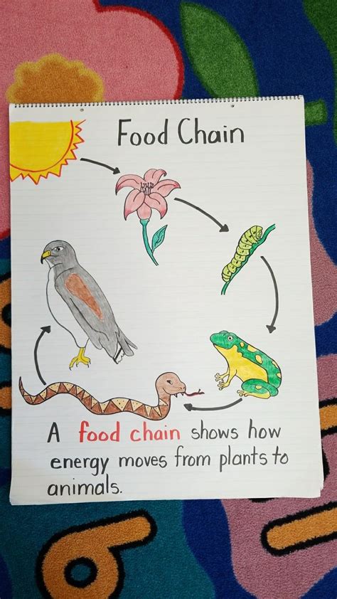 food chain - Recipes #chain #food #Recipes | Science food chains, Science anchor charts, Food ...