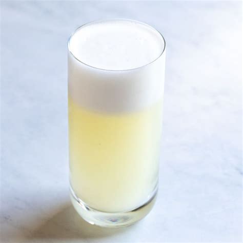 Gin Fizz Cocktail Recipe