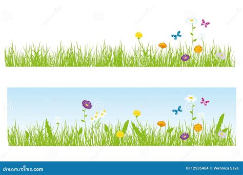 Grama E Flores Imagens de Stock - Imagem: 12535464