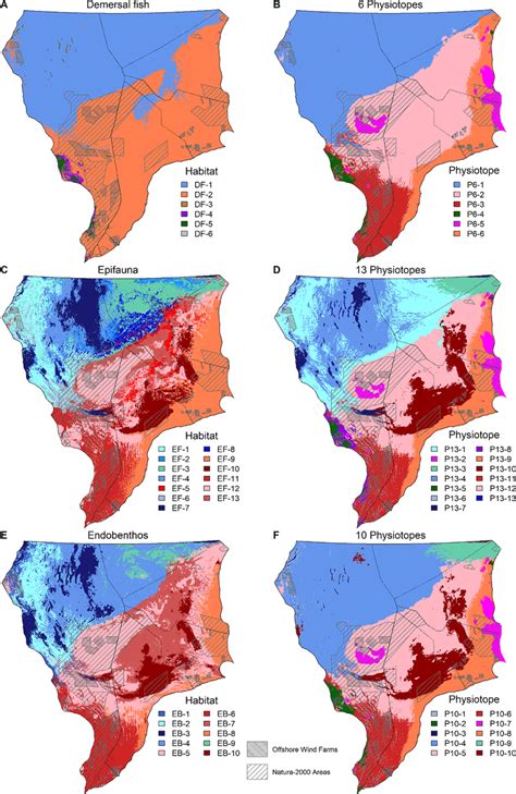 The spatial distribution of demersal fish (A), epifauna (C), and... | Download Scientific Diagram