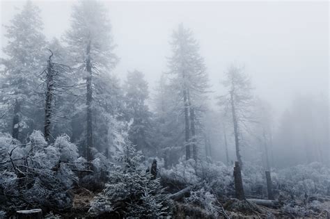 Bleak Winter Beauty | Germany | Behance