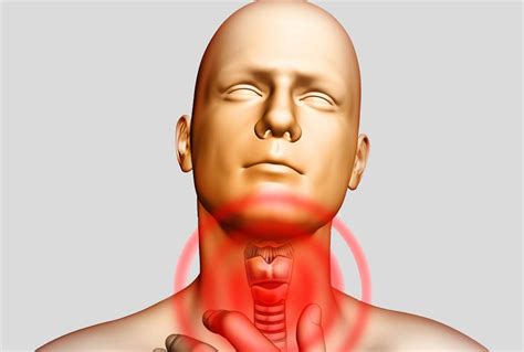 Thyroid Disorders : An Overview of Symptoms and Causes - Medy Life