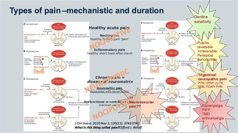 Neuropathic pain: definition, diagnosis classification and assessment - Trigeminal Nerve Injuries