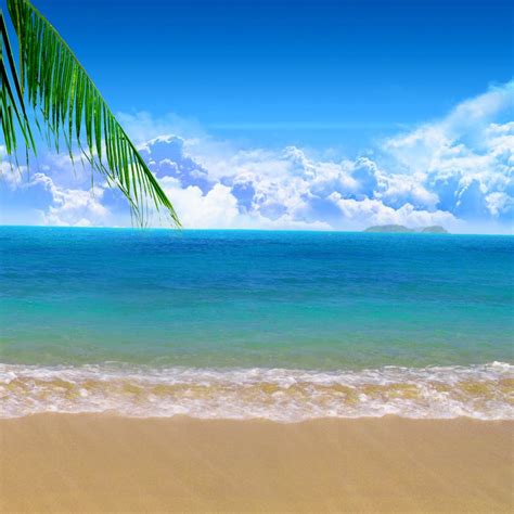 Sea beach iPad Wallpapers Free Download