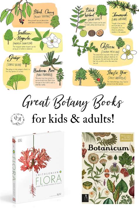 Best Plant and Botany Books for Kids - Nature Homeschool