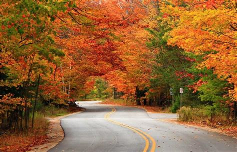 You haven’t missed Door County peak fall colors | Ephraim Shores Resort