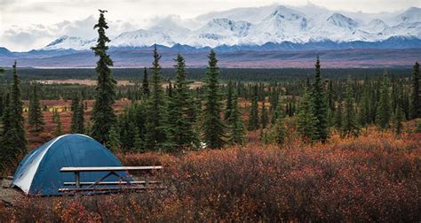 Camping in Alaska's Denali National Park