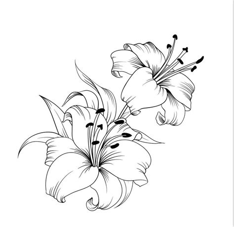 Pencil Drawings Of Flowers, Flower Sketches, Art Drawings Sketches ...