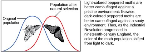 Discovering How Populations Change · Concepts of Biology