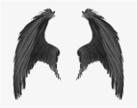 Realistic Demon Wings Png - Free Transparent PNG Download - PNGkey