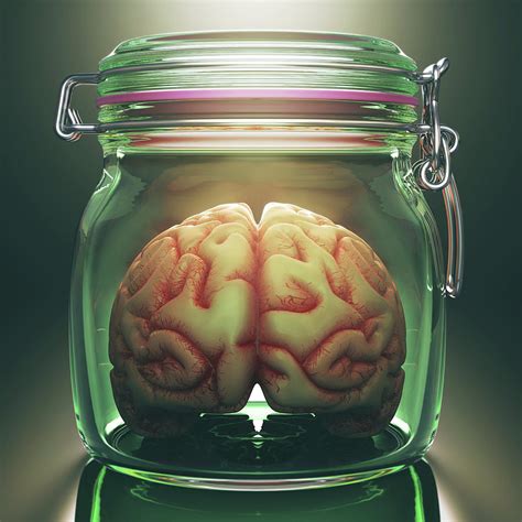 Human Brain In Glass Jar Photograph by Ktsdesign/science Photo Library - Pixels