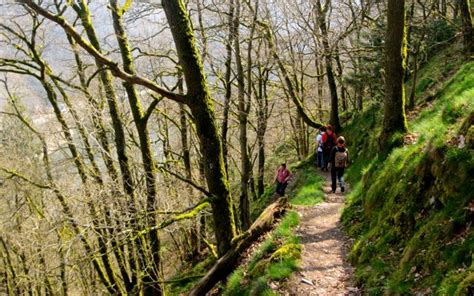 Hiking the Luxembourg Ardennes