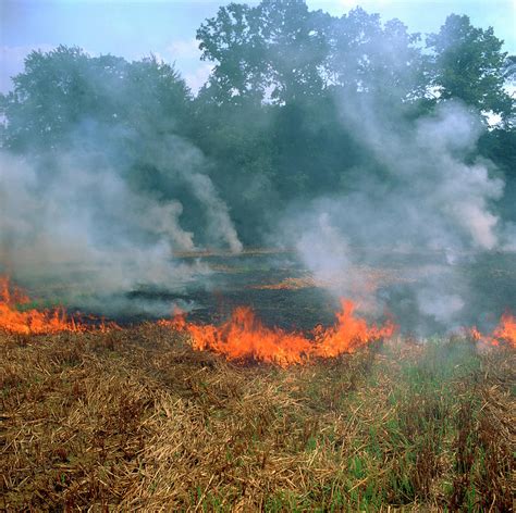 Stubble Burning Photograph by Robert Brook/science Photo Library - Pixels