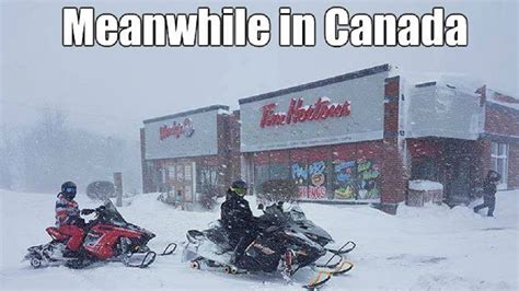 20 Canada Memes That Are Actually Hilarious - MTL Blog