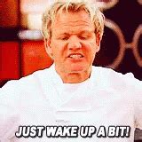 Gordon Ramsay Hells Kitchen GIF - Gordon Ramsay Hells Kitchen Just Wake Up A Bit - Discover ...