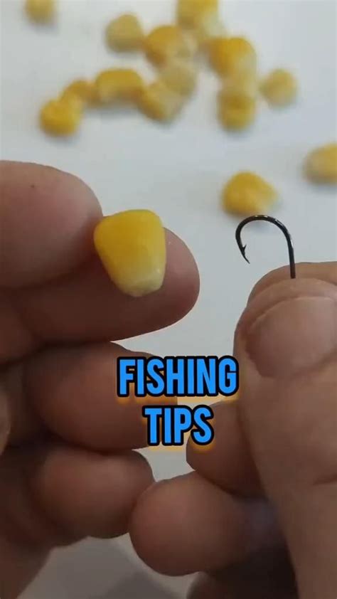 Fishing Tip! [Video] | Fishing tips, Trout fishing tips, Fish