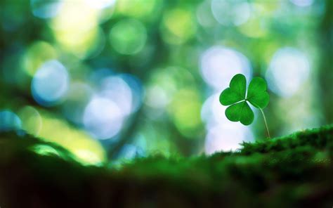 Shamrock Backgrounds Free - Wallpaper Cave