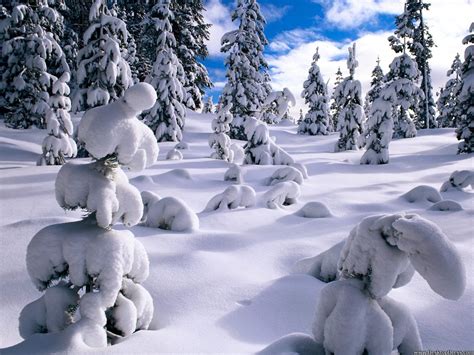 Nature Winter PC Wallpapers - Wallpaper Cave