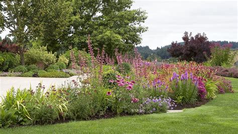 Modern Meadow: A Fresh Take on Pollinator Garden Design