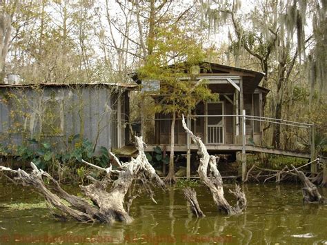 South Louisiana Cuisine: Crawfish Stew | Louisiana bayou, Louisiana ...