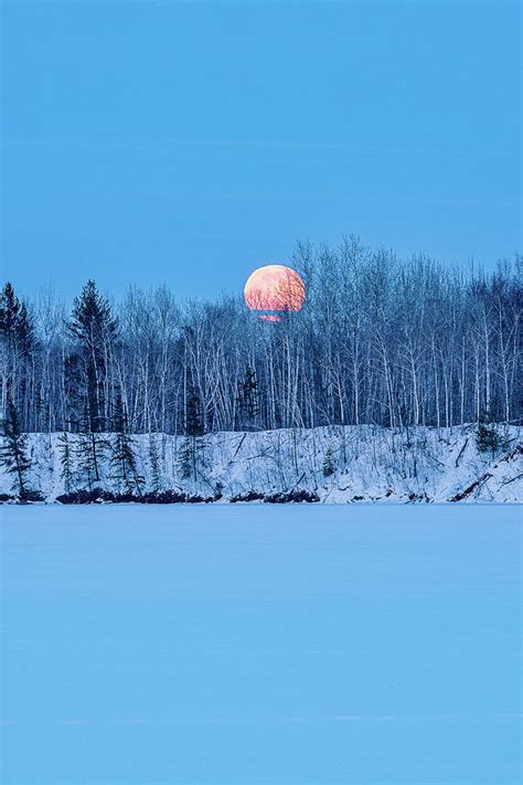 Winter Moon Photograph by Flowstate Photography - Fine Art America