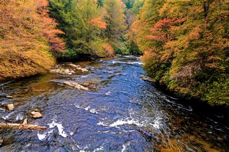 A Day on the Toccoa River Canoe Trail | Blue Sky Cabin Rentals