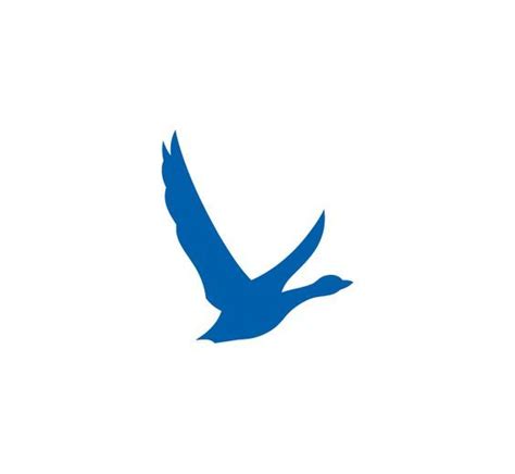 grey goose logo vector - Sol East