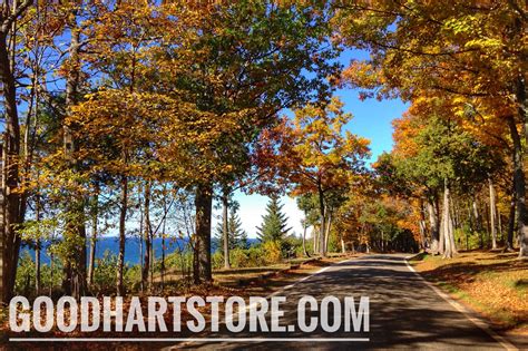 Experiencing Fall Color Along Michigan's Tunnel of Trees : Good Hart General Store