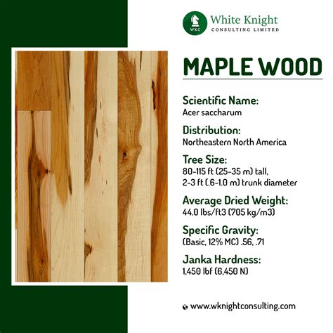 Hard Maple vs Soft Maple : Which is Better for Woodworking?