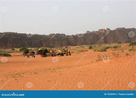 Desert in mali stock photo. Image of africa, hump, farm - 7253944