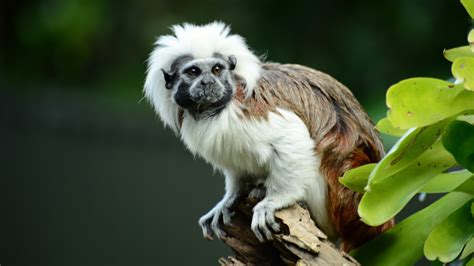 This Underrated South American National Park Is A Must-Visit For Nature ...