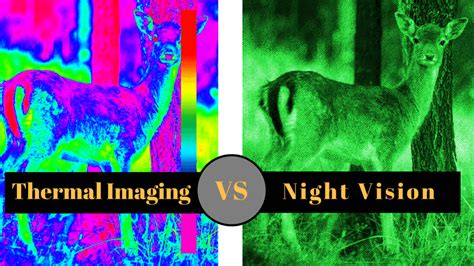 Night Vision vs Thermal Imaging: Which One is Good for You?