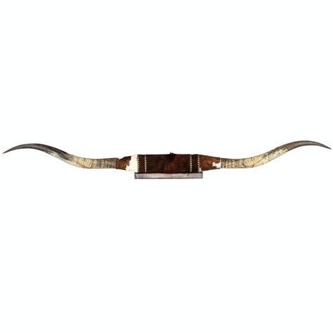 Wall Mountable Longhorn Steer Horns | Longhorn, Brindle cowhide, Brindle