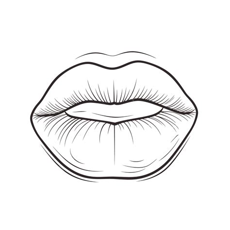 Lips Of Women Mouth Outline Drawing Isolated On White Background Sketch Vector, Wing Drawing ...