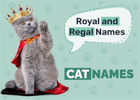 225 Royal and Regal Cat Names: Great Ideas for Your Noble Cat - Catster