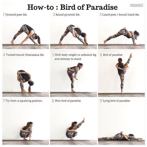 10+ Yoga Sequence Leading To Bird Of Paradise | Yoga Poses