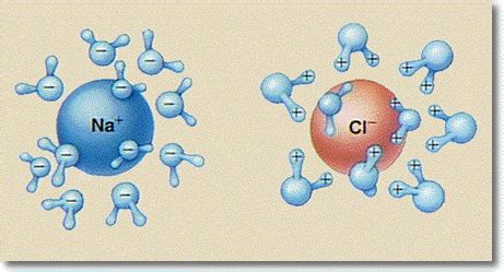 Chemistry - Why is water "the universal" solvent?