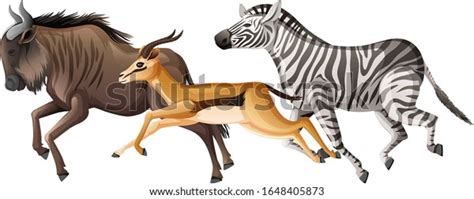 58,335 Animals Running Cartoon Images, Stock Photos & Vectors | Shutterstock