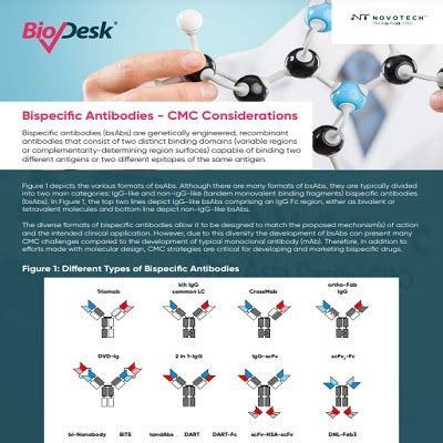 Bispecific Antibodies - CMC Considerations