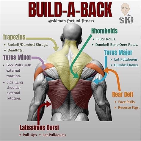 BUILD A BACK By @skiman.factual.fitness - Follow @gym_fit_union It looks complicated and ...