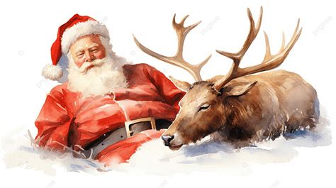 Sleeping Santa Claus And Deer The Day After Christmas Isolated On White ...